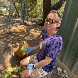 Austin Zoo