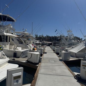 www.laislatour.mx - Boat Charters Near Me - CABO SAN LUCAS, BCS www.laislatour.mx - Boat Charters Near Me - CABO SAN LUCAS, BCS