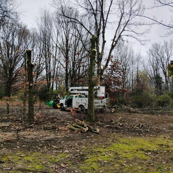 Riddles Tree Service - Tree Services Near Me