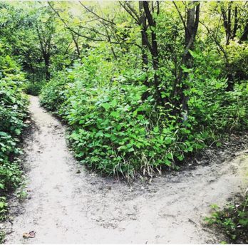 Central Park - trail - Parks Near Me - Lewisville, Texas