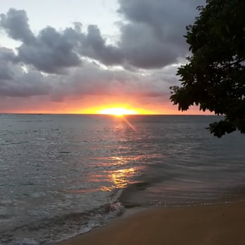 Island Insights Tarot - Supernatural Readings Near Me Island Insights Tarot - Supernatural Readings Near Me
