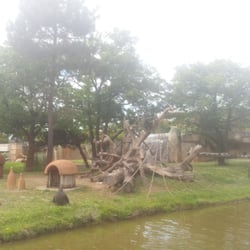 Zoo la Palmyre - La zone des grands singes est top