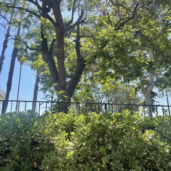 Butter Cafe & Bakery - Outside patio space - Breakfast & Brunch Near Me - Upland, California Butter Cafe & Bakery - Outside patio space - Breakfast & Brunch Near Me - Upland, California