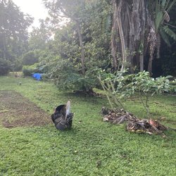 La Casa de Vida Natural