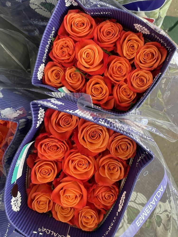 PRODUCE JUNCTION Updated September 2024 24 Photos & 37 Reviews