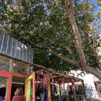 Paseo - Caribbean Near Me - Seattle, Washington Paseo - Caribbean Near Me - Seattle, Washington