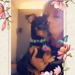 My Comfy Pet Petsitting - Baby Bella