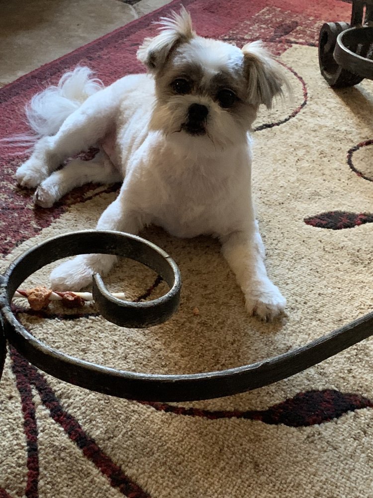 P’ETCETERA 33 Photos & 45 Reviews 4320 N Galloway Ave, Mesquite