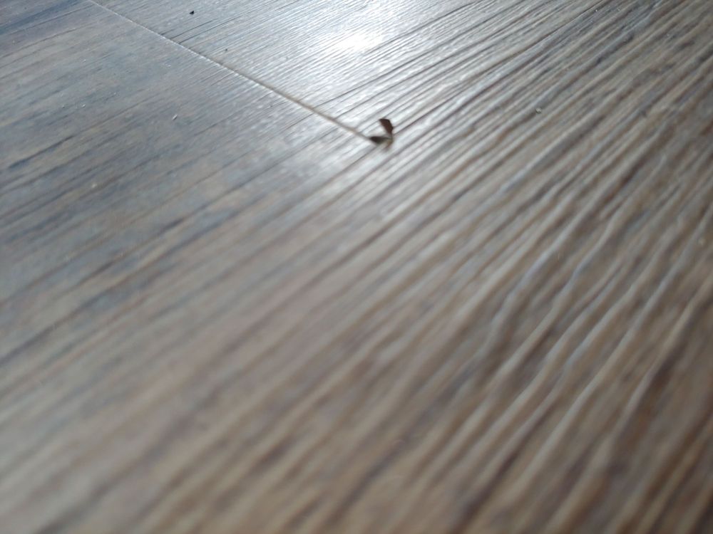 EcoClean - mold inspector in Bolingbrook, IL