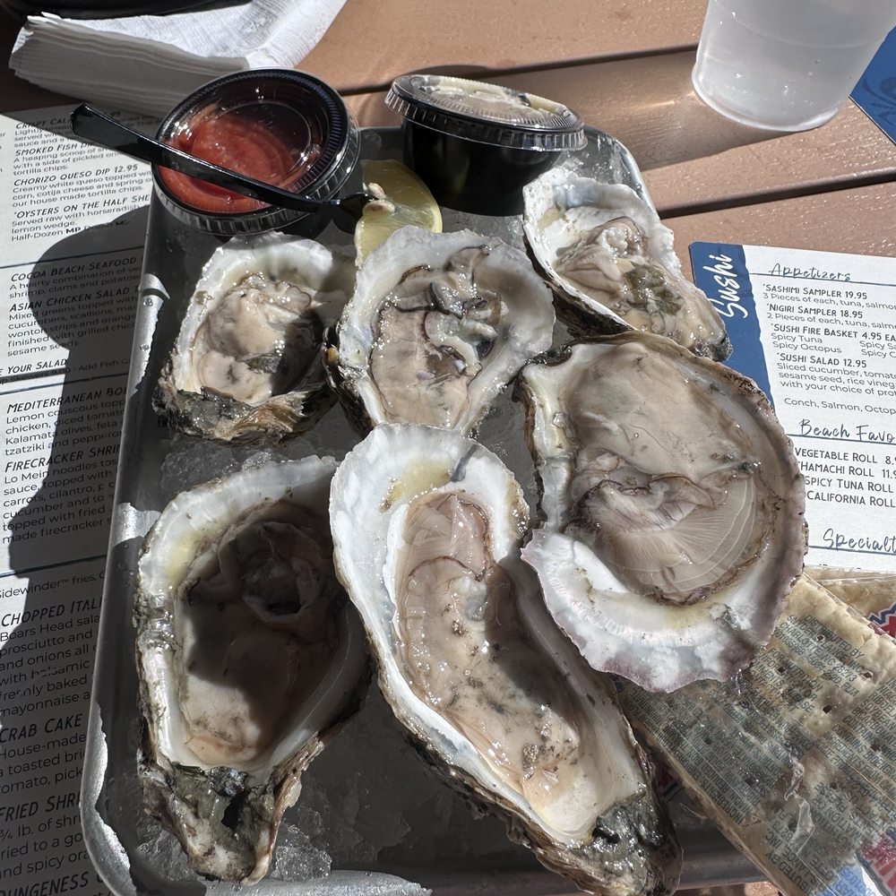 Pier 62 - Half shell oysters - Seafood Near Me - Cocoa Beach, Florida Pier 62 - Half shell oysters - Seafood Near Me - Cocoa Beach, Florida