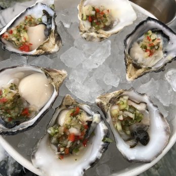 Ceviche Project - Oysters - Latin American Near Me - Los Angeles, California
