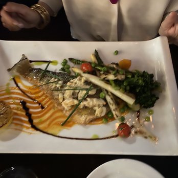 Maison Pucha Bistro - Daily special fish . - French Near Me - Houston, Texas