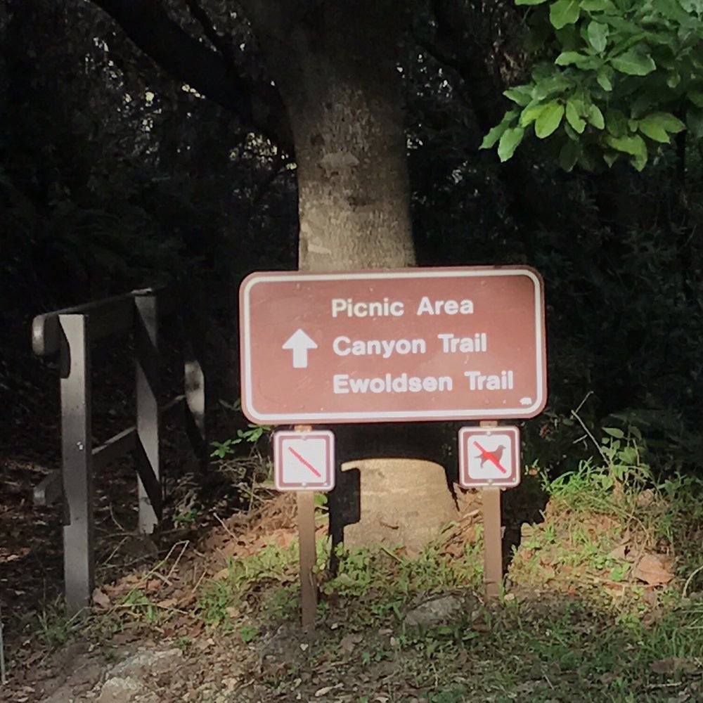 Julia Pfeiffer Burns State Park - Unfortunately, these trails are closed :( - Parks Near Me - Big Sur, California