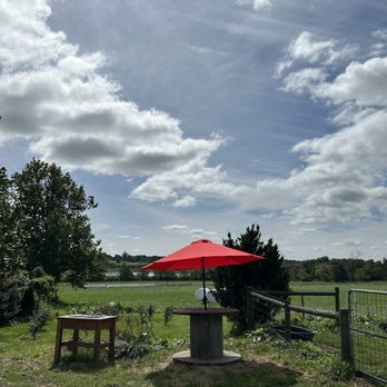 The Hard-Pressed Cider - Donuts Near Me - Jamestown, Rhode Island