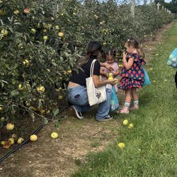 Hayden Peach Orchard