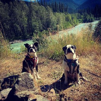 Columbia Veterinary Center - Veterinarians Near Me - Vancouver, Washington