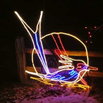 River Of Lights - Festivals Near Me - Albuquerque, New Mexico
