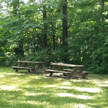 Kile Oak - small picnic area, but please carry out your trash - Parks Near Me - Indianapolis, Indiana