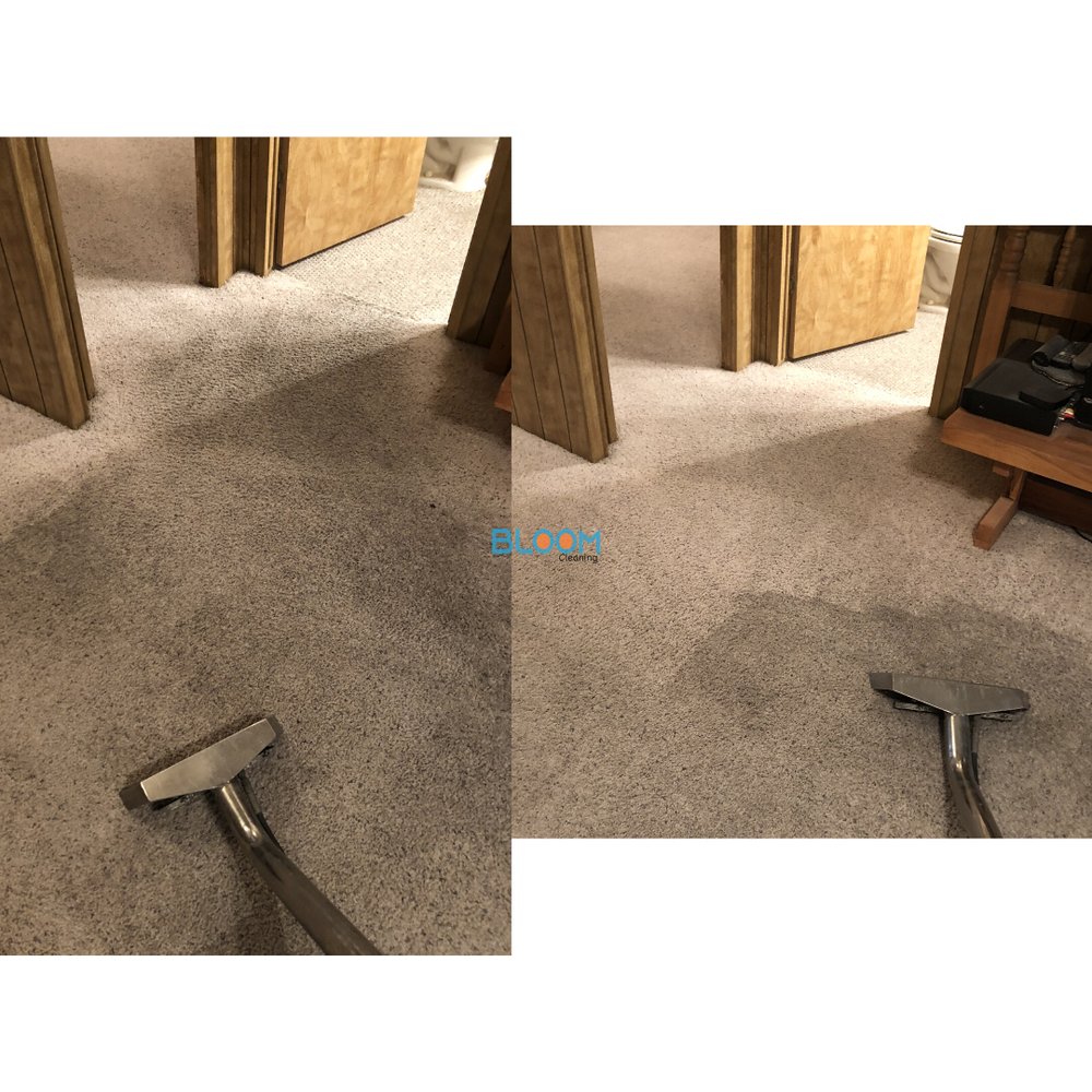 BLOOM CARPET CLEANING 993 Photos Mesa, Arizona Carpet Cleaning