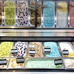 Millie’s Gelato - Display case