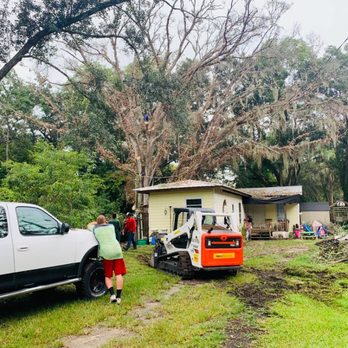 Colorado Tree Care Service - Bobcat big tree removal - Tree Services Near Me - Tomball, Texas Colorado Tree Care Service - Bobcat big tree removal - Tree Services Near Me - Tomball, Texas
