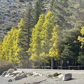 Silver Lake - Parking area and fall colors by the lake - Lakes Near Me - June Lake, California