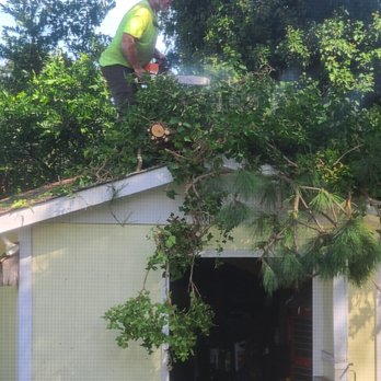 Kens Tree Service - Tree Services Near Me Kens Tree Service - Tree Services Near Me
