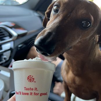Chick-fil-A - Pup cup for Frankie! - Fast Food Near Me - Brea, California Chick-fil-A - Pup cup for Frankie! - Fast Food Near Me - Brea, California