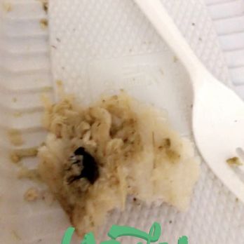 Dianas Tamales - Tamales de pollo with a Fly in it!!! - Food Trucks Near Me - San Jose, California