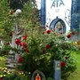 Photo of Pfarre St. Barbara