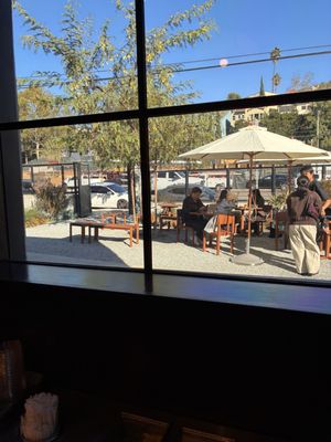 Loquat Sunset Row by null