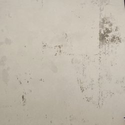 Lakeside Mobile Home Community - This is a rusty wall from my rusty bathroom in my house-Trisha woods