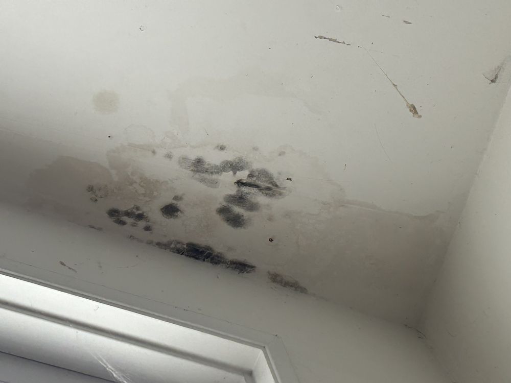 Coastal Risk Management - mold inspector in Long Beach, CA