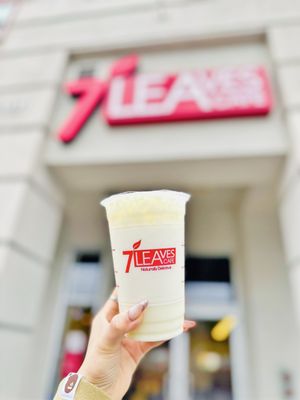 7 Leaves Cafe by null