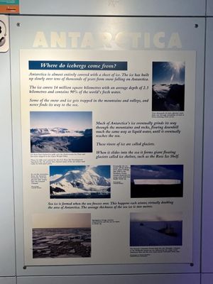 International Antarctic Centre by null