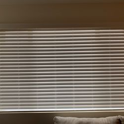 Bloomin Blinds - Winchester