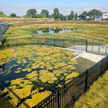 Riverview Stormwater Garden - Parks Near Me Riverview Stormwater Garden - Parks Near Me