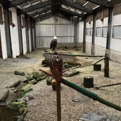 Alaska Raptor Rehabilitation Center - Rehabilitation barn