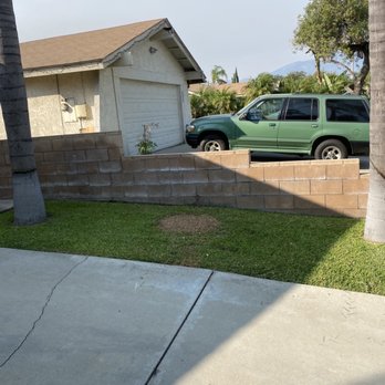 Mtz Tree Service - Tree Services Near Me