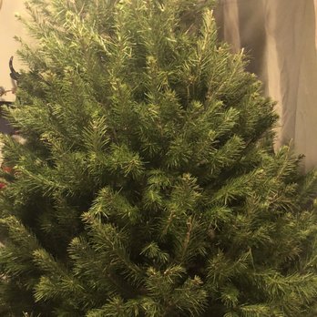 Rocky Yo-Mo's Christmas Trees - Douglas Fir - Christmas Trees Near Me - Philadelphia, Pennsylvania