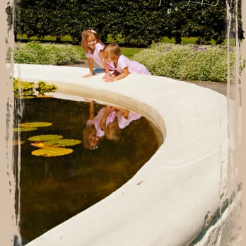 Nitchie Photography - Photographers Near Me Nitchie Photography - Photographers Near Me