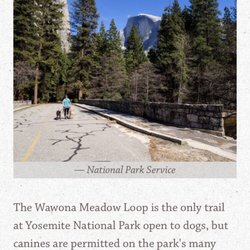 Meadow Loop Trail - Yosemite National Park Wawona Meadow Loop is the only trail that allows you to bring your dog!