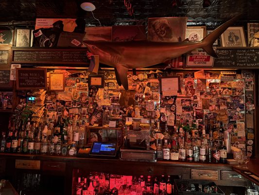 Spring Lounge by null