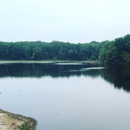 Morning View