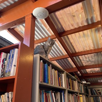 Bart's Books - Bookstore cat! - Bookstores Near Me - Ojai, California Bart's Books - Bookstore cat! - Bookstores Near Me - Ojai, California