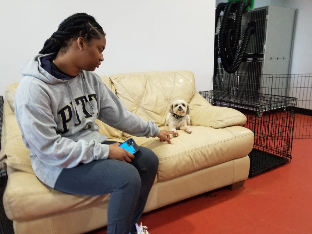 MARYMAC’S DOGGIE RETREAT Updated October 2024 47 Photos & 22