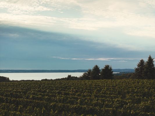 Chateau Grand Traverse by null