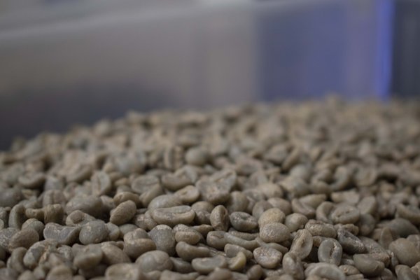 Lost Dutchman Coffee Roasters by null