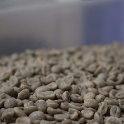 Lost Dutchman Coffee Roasters