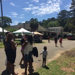 Jewish Synagogue Temple Israel-Reform - Beautiful day for the TLH Jewish Festival! Delicious food, authentic music and crafts, and cool art and books in kiosks.